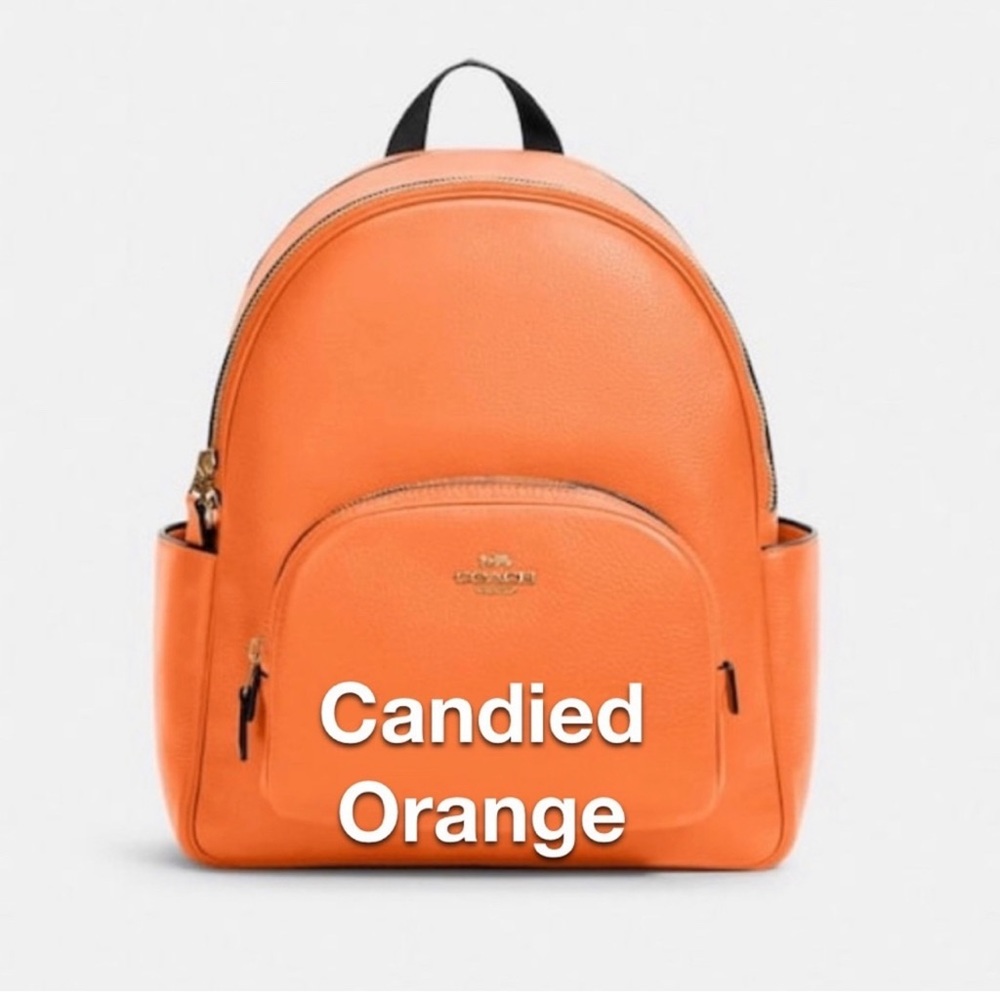 NWT Coach backpack